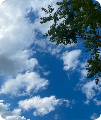 Property 1=Frame 2608177